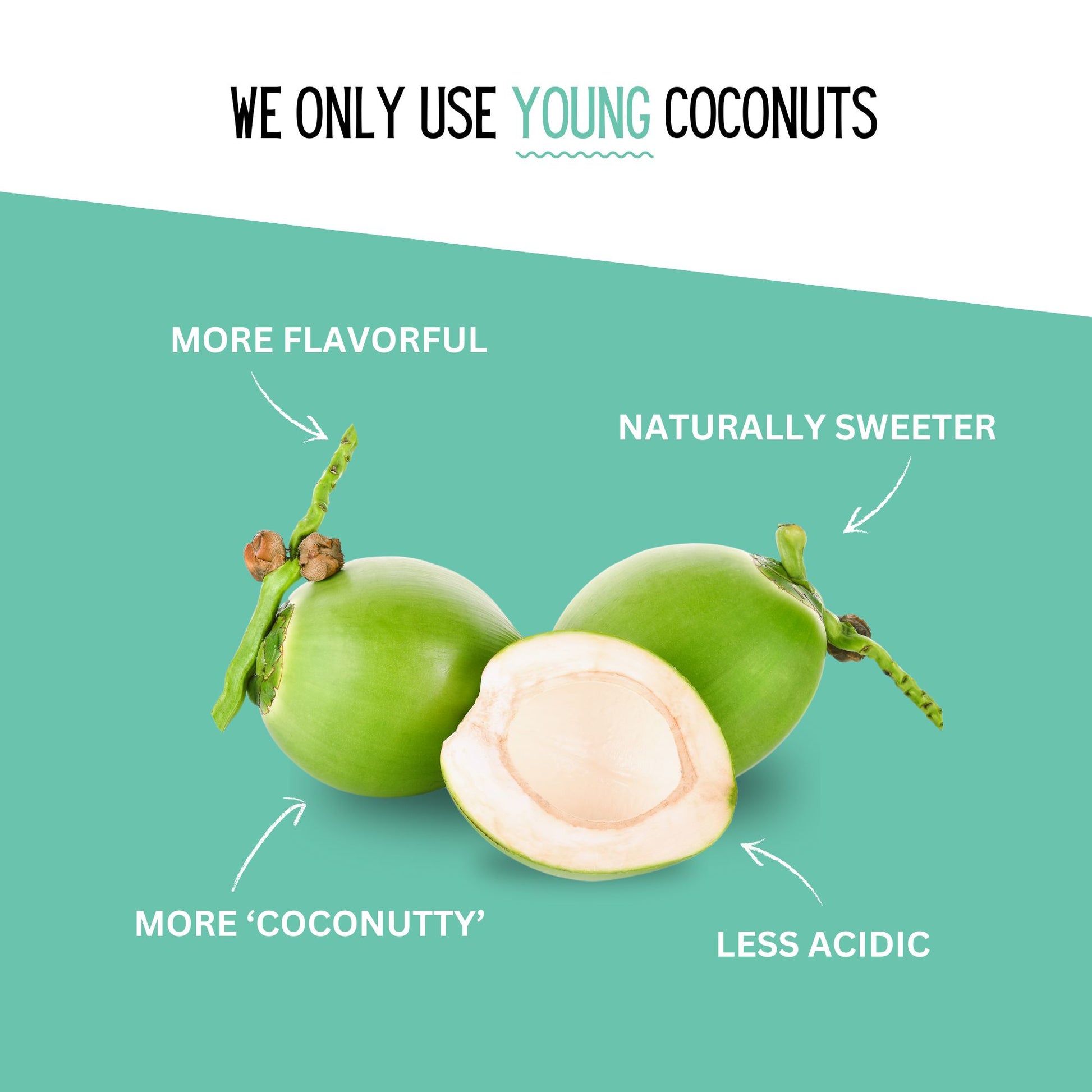 palms coconut water Young Coconut Water